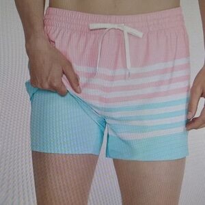 Chubbies On The Horizon Swim Trunk Size Small